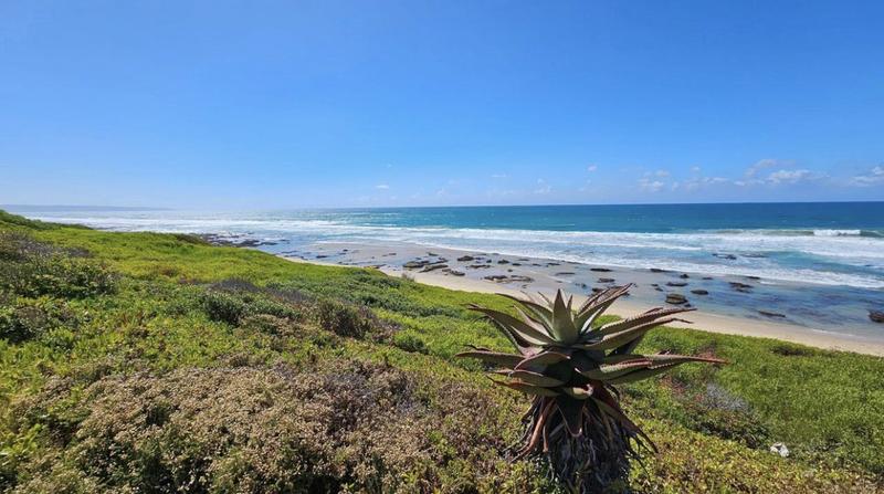 0 Bedroom Property for Sale in Reebok Western Cape